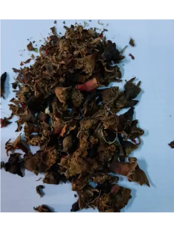 Nar Çiçeği Nar Çiçeği