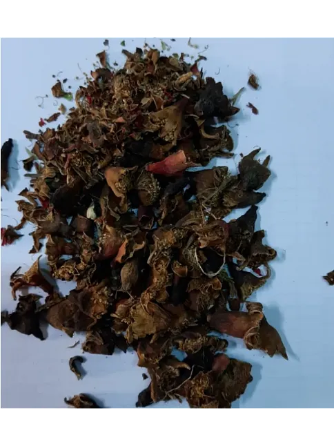 Nar Çiçeği