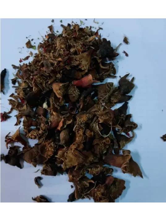 Nar Çiçeği Nar Çiçeği