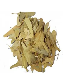 Okaliptüs Yaprağı 500 GR