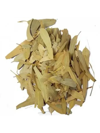 Okaliptüs Yaprağı 500 GR