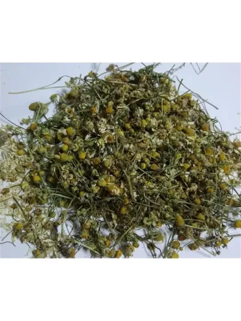 Papatya Çaylık-öğütmelik