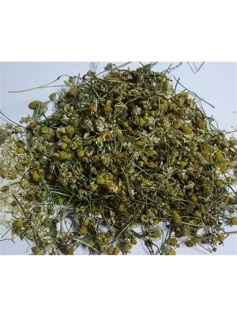 Papatya Çaylık-öğütmelik