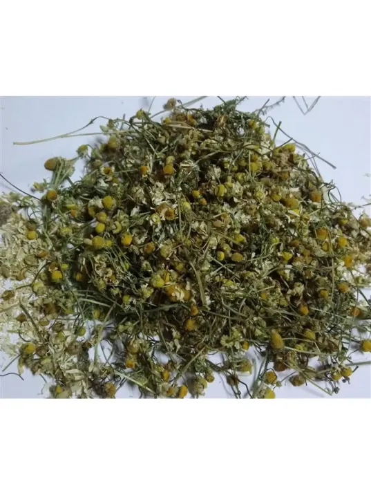 Papatya Çaylık-öğütmelik