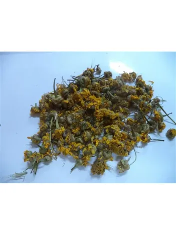 Papatya Sarı-alman Papatyası