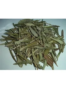 Zeytin Yaprağı 500 GR