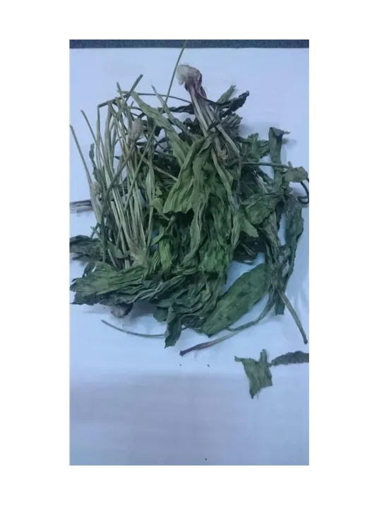 Sinirli Ot-damar Otu