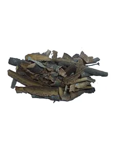 Barut Ağacı Kabuğu 500 GR