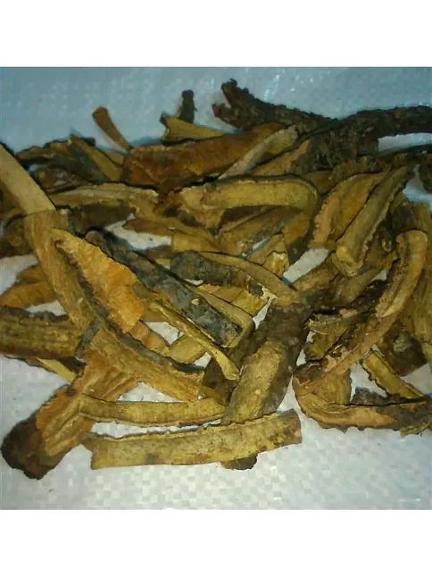 Işgın Kökü-yaban Muzu Kökü