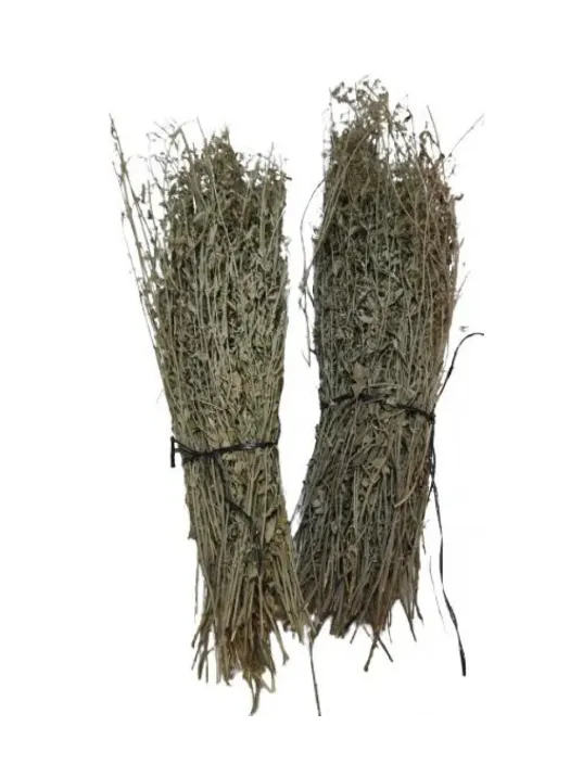 Toros Nanesi Demet Kg