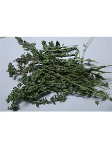 Çıban Otu-kırmızı Kısa Mahmut 500 GR