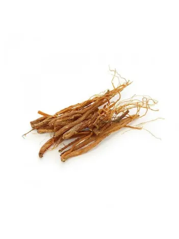 Ginseng Kök Kırmızı