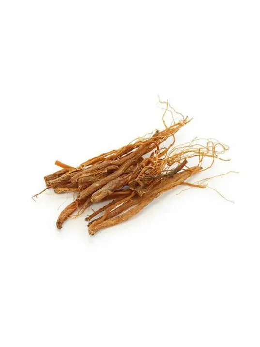 Ginseng Kök Kırmızı