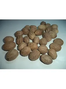 Muskat-hint Cevizi 500 GR