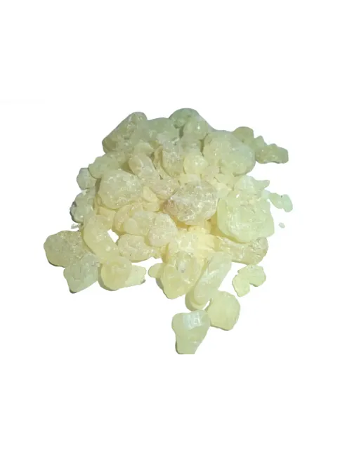 Sandroz Sakızı Sandarağacı 500 GR