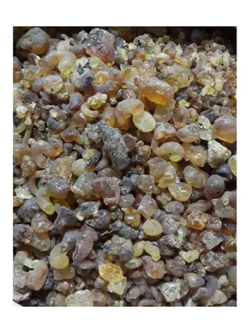 Zamkarabı (arap Zamkı)-akasya Gamı