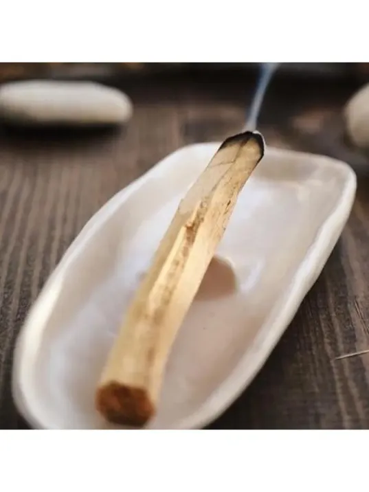 Palo Santo Ağaç Tütsü 50 GR