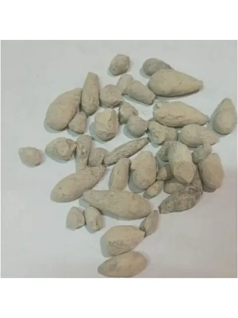 Beni İsrail Zeytini-hacer-el Yahudi