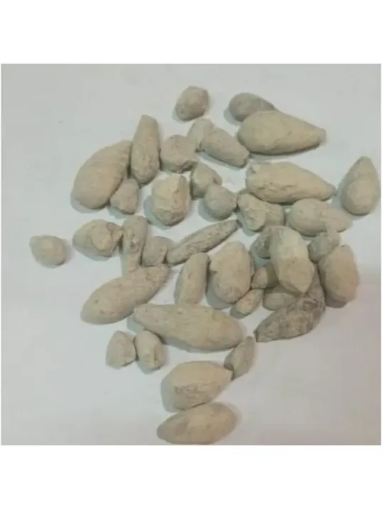 Beni İsrail Zeytini-hacer-el Yahudi