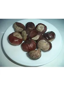 At Kestanesi