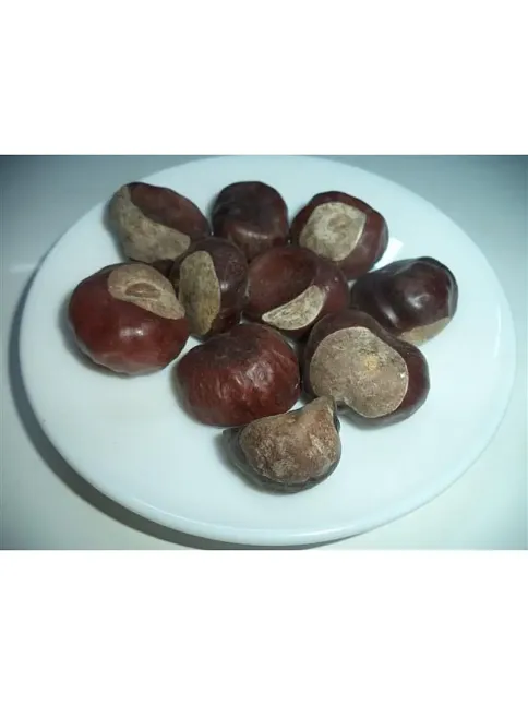 At Kestanesi