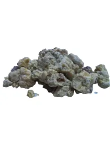 Çam Sakızı 500 GR