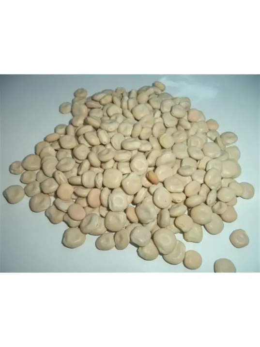 Acı Bakla-termiye-yahudi Baklası