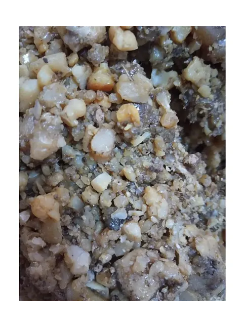 Çadır Uşağı Sakızı