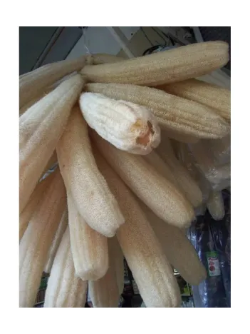 Lif Kabağı Ham Lif Uzun 60-90 Cm Arası Lif Kabağı Ham Lif Uzun 60-90 Cm Arası