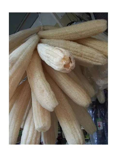 Lif Kabağı Ham Lif Uzun 60-90 Cm Arası