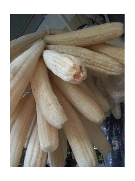 Lif Kabağı Ham Lif Uzun 60-90 Cm Arası Lif Kabağı Ham Lif Uzun 60-90 Cm Arası