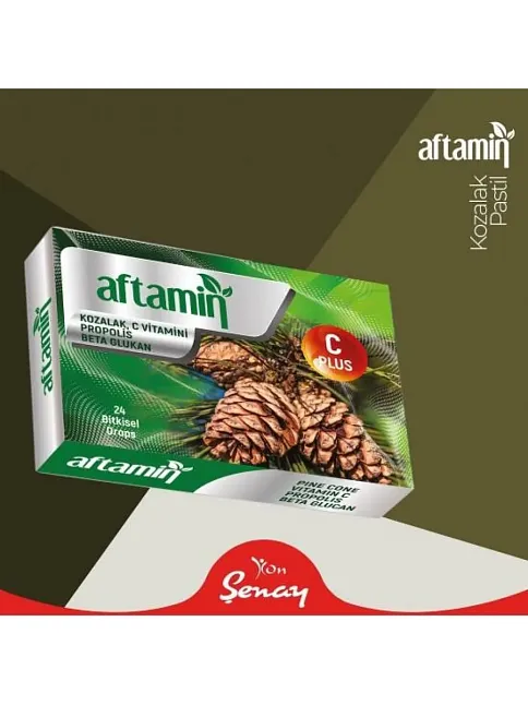 Aftamin Pastil Kozalak C Propolis 24 Ad.