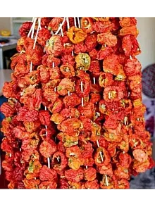 Kuru Biber Dolma  20 Li (iadesiz)