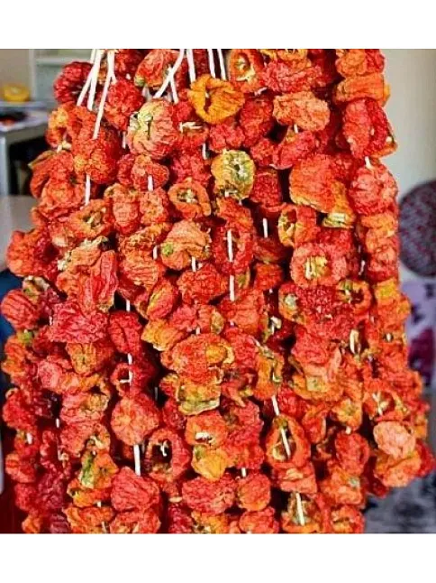 Kuru Biber Dolma  20 Li (iadesiz)