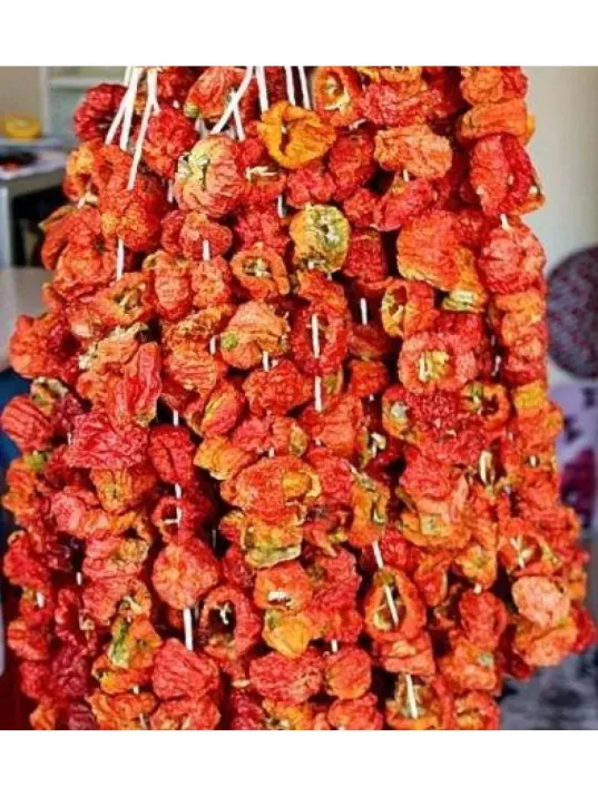 Kuru Biber Dolma  20 Li (iadesiz)