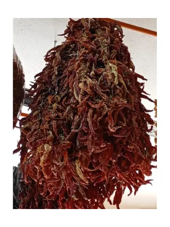 Kuru Biber Kızartmalık Tatlı 20 Li