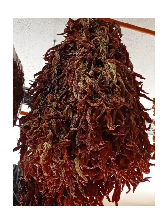 Kuru Biber Kızartmalık Tatlı 20 Li