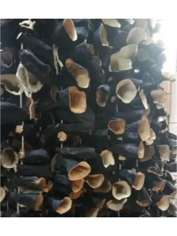 Kuru Patlıcan Dolm Dip-sap 20 Li