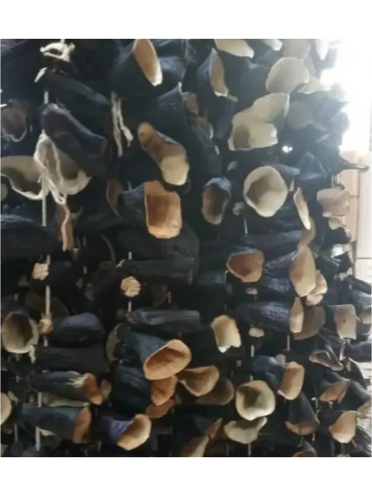 Kuru Patlıcan Dolm Dip-sap 20 Li