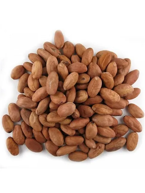 Kakao Çekirdek (cocoa Beans)