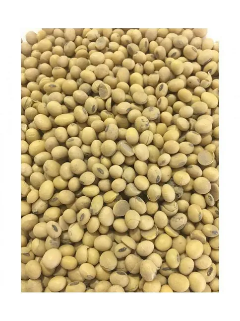 Soya Fasulyesi