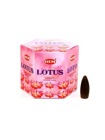 Hem Geri Akış Tütsü 7chakra 10 Lu