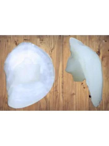 Eşkina Balığı Taşı