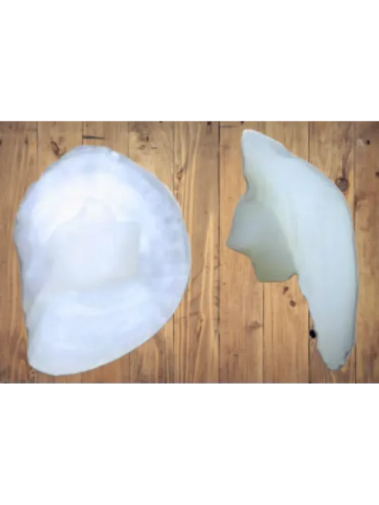 Eşkina Balığı Taşı