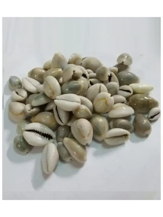 Sübyan Boncuğu-yılan Başı-deve Boncuğu