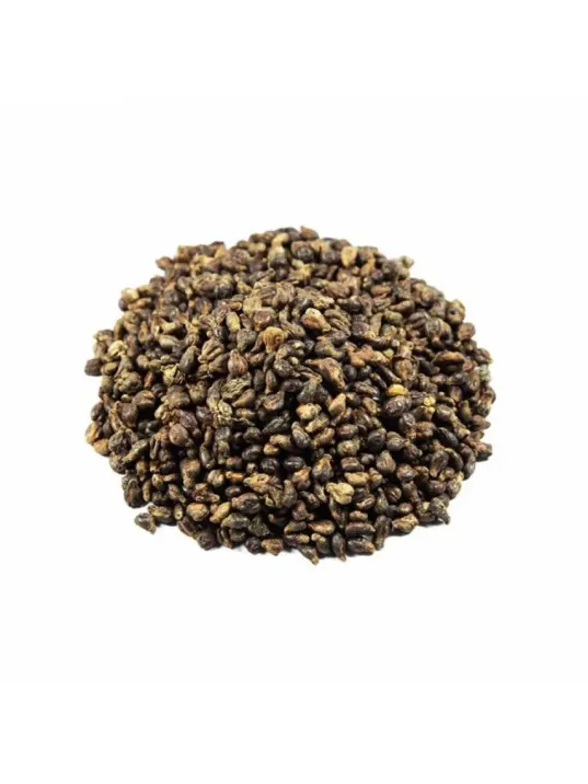 Üzüm Çekirdeği Üzüm Çekirdeği