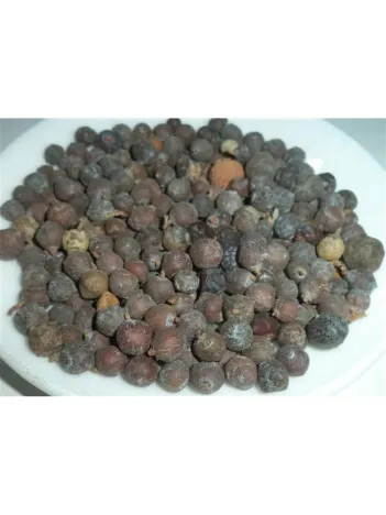 Ardıç Tohumu Siyah 500 GR