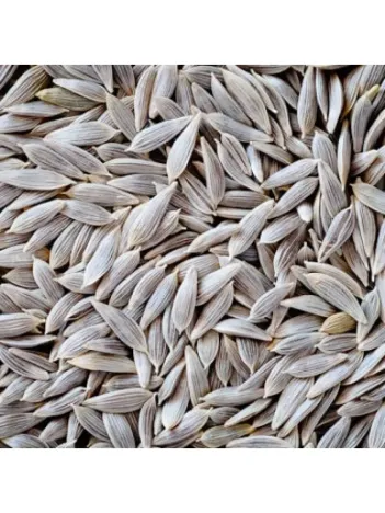 Marul Tohumu Beyaz 500 GR