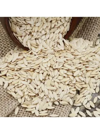 Salatalık Tohumu 500 GR