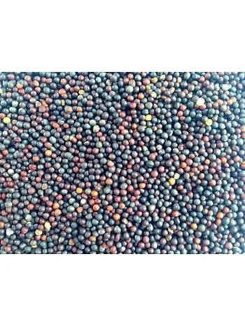 Şalgam Tohumu 500 GR